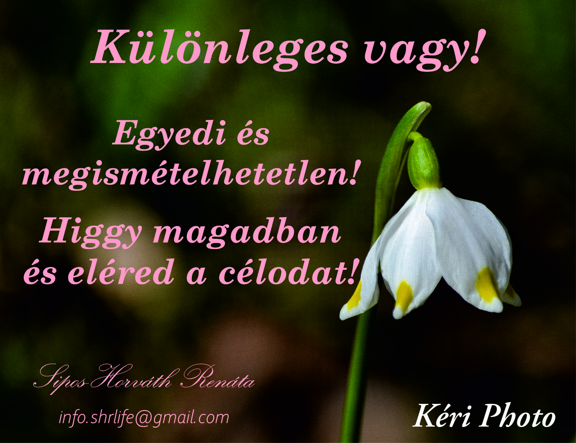 Kattints a képre és csatlakozz a zártkörű Facebook csoportomhoz